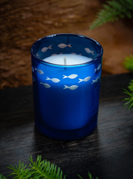 02748aabf1d7d9ba8667810b3079af21.jpg 02748aabf1d7d9ba8667810b3079af21.jpg