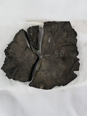 Plaster czarnego dębu z naturalną krawędzią dąb 5000 lat - drewno na stół, meble, biżuterię