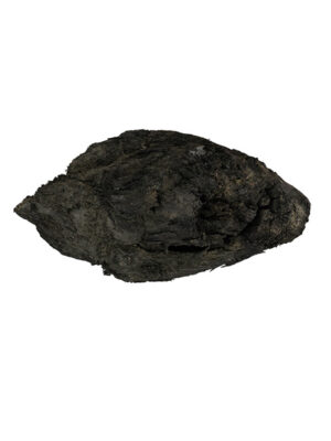 Ozdobny kawałek czarnego dębu 5000 lat - drewno do rękodzieła, na biżuterię, ozdoby, meble