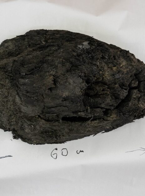 3c35538955d653c667e84cbb4b43c2d4.jpg 3c35538955d653c667e84cbb4b43c2d4.jpg