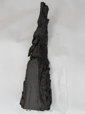 Ozdobny kawałek czarnego dębu 5000 lat - drewno do rękodzieła, na biżuterię, ozdoby, meble