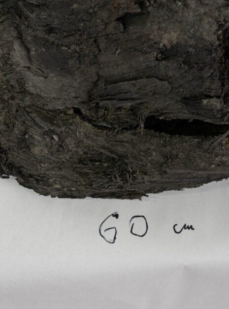 dd1b03508331e3caa5bb9f7cae85b09d.jpg dd1b03508331e3caa5bb9f7cae85b09d.jpg